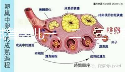 試管嬰兒一、二、三代有什么區別