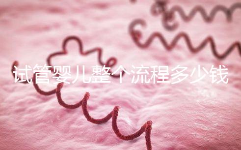 試管嬰兒整個流程多少錢(試管嬰兒整個流程多少錢啊)