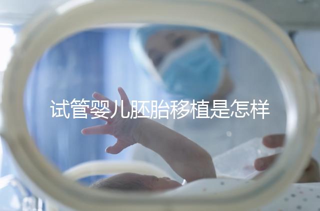 試管嬰兒胚胎移植是怎樣的過程？