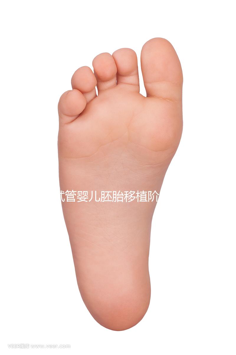 試管嬰兒胚胎移植階段需要具備哪些條件？