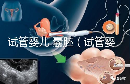 試管嬰兒 囊胚（試管嬰兒囊胚質(zhì)量等級(jí)）