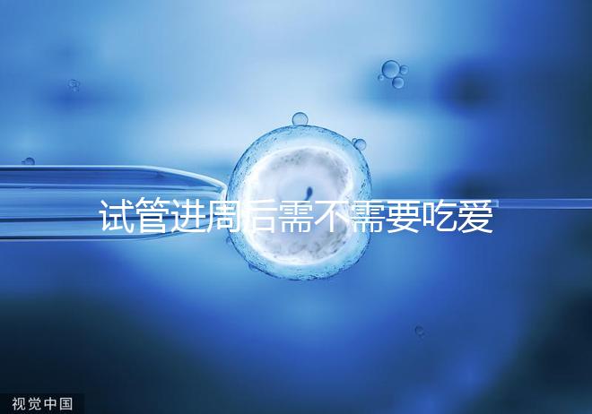 試管進周后需不需要吃愛樂維、要吃多久別瞎猜，真相在這
