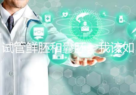 試管鮮胚和囊胚，我該如何選？