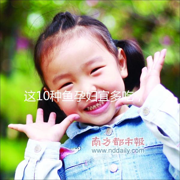 這10種魚孕婦宜多吃，既營養又可以讓寶寶更聰明