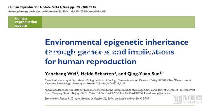 過來人真實體驗：羊水穿刺疼不疼，說說我做完的感覺