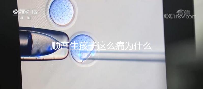 順產生孩子這么痛為什么大家能忍，這些真相非常戳心