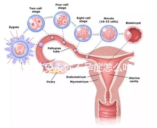 預(yù)防免疫性不孕癥怎么吃？