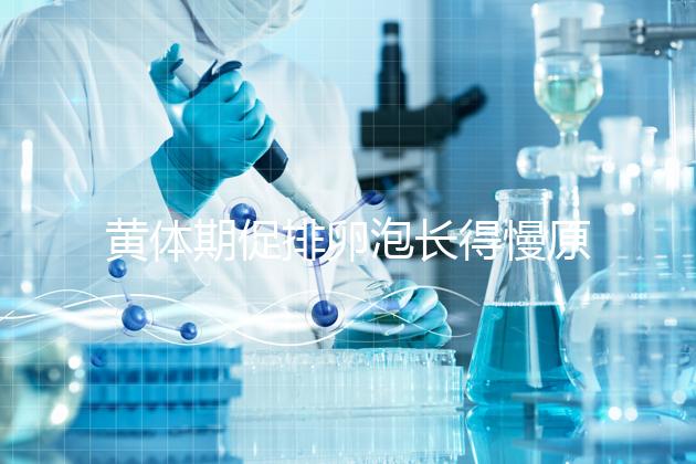 黃體期促排卵泡長(zhǎng)得慢原因已找到！4種手段幫你解決