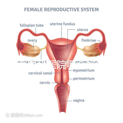 雞西男科醫院哪個好答案在這里？公立和私立各有優勢