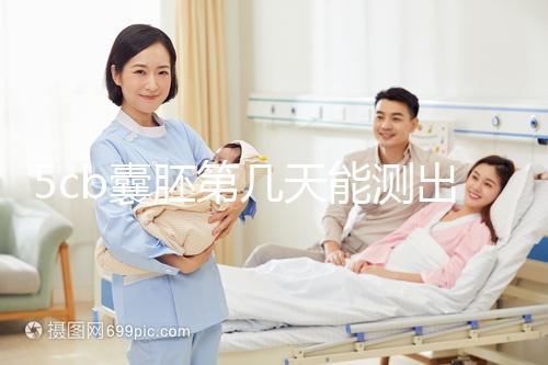 5cb囊胚第幾天能測出看移植成功后續發育怎么樣，不懂戳