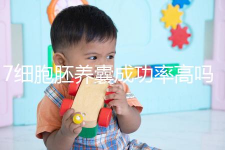 7細(xì)胞胚養(yǎng)囊成功率高嗎？聽聽做過試管的姐妹怎么說