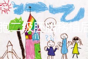 9細(xì)胞二級(jí)胚胎移植后8天沒(méi)感覺(jué)，成功率依然很高