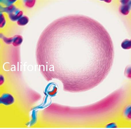 California Cryobank，加州精子銀行實用指南
