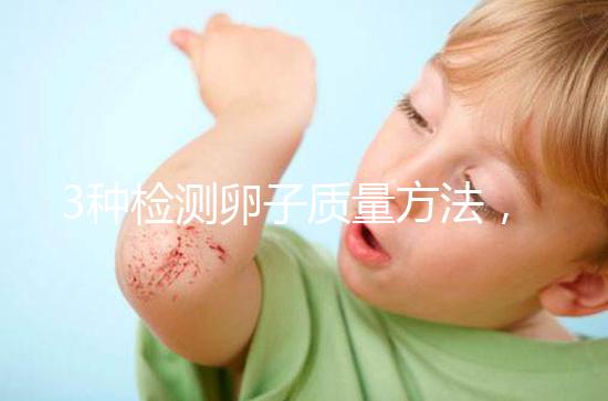 3種檢測(cè)卵子質(zhì)量方法，怎么做才能促進(jìn)卵泡發(fā)育