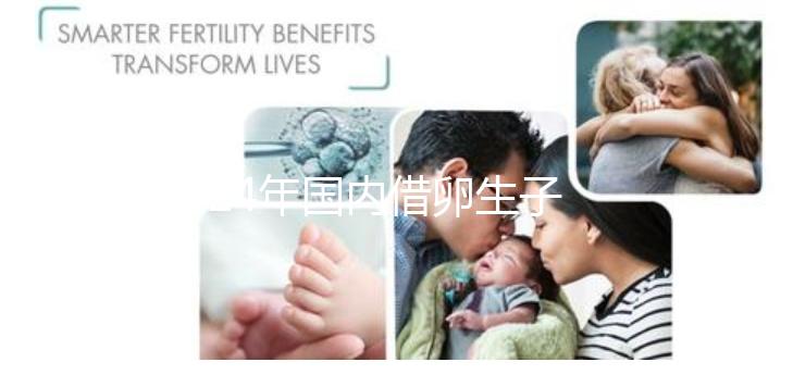 2024年國內(nèi)借卵生子私立醫(yī)院哪里最好？上海集愛排名前三