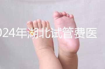 2024年湖北試管費醫療保險可以報銷？專家：時間還沒到？