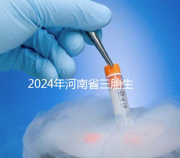 2024年河南省三胎生育津貼發(fā)生變化！南陽和信陽最高獎勵20萬！