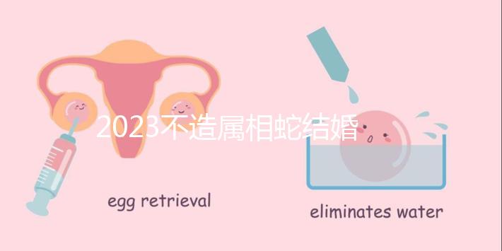 2023不造屬相蛇結(jié)婚跟什么相配？切記和屬豬易犯沖