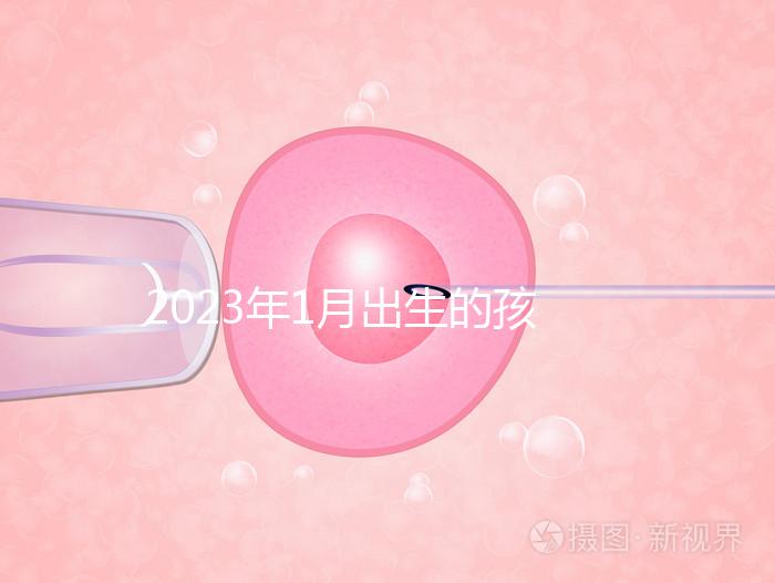 2023年1月出生的孩子取名宜忌要早知，星座、屬相均有講究