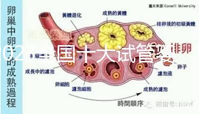 2023全國十大試管嬰兒醫(yī)院排名出爐，這些成功率太高首推薦