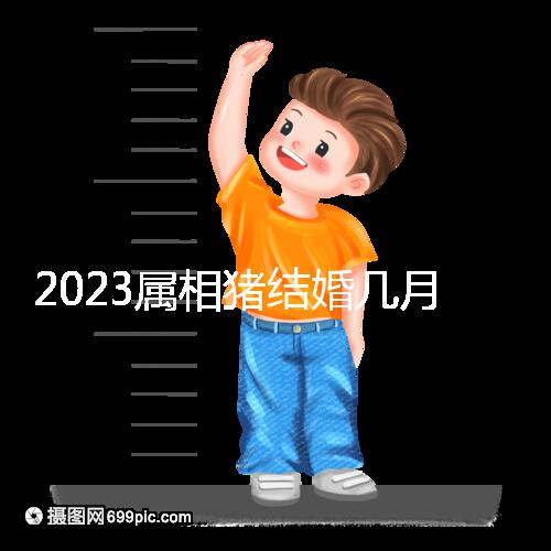 2023屬相豬結(jié)婚幾月好大盤點(diǎn),選對了年份雙喜纏身