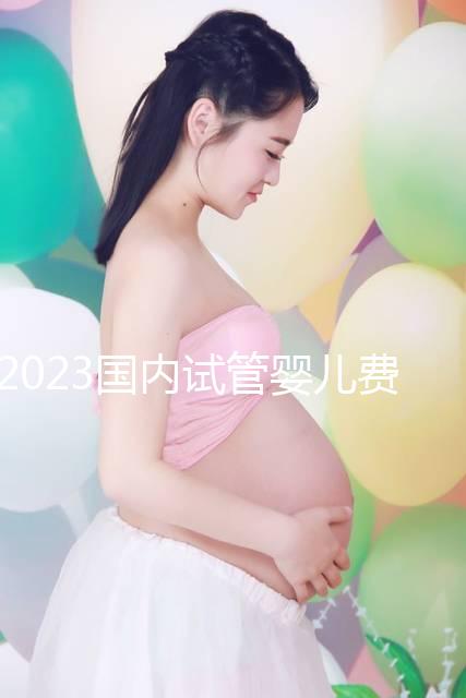 2023國內試管嬰兒費用明細表一覽，4大項目不同花費get