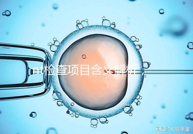 nt檢查項目含義解析，每個內容都相當重要